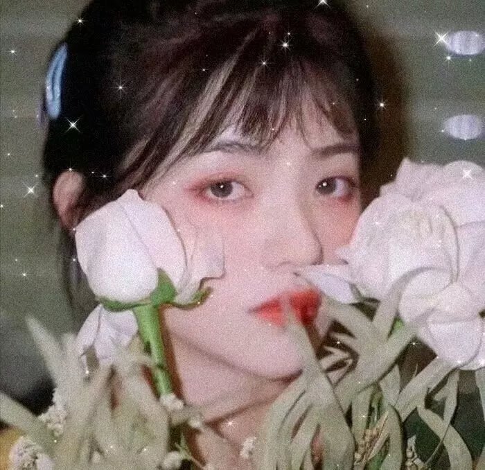 桃花劫