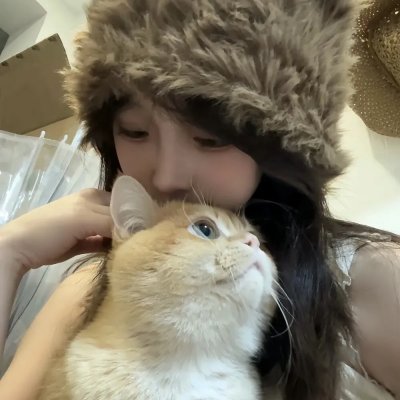 侠盗正传