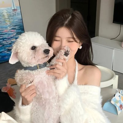 杀破狼